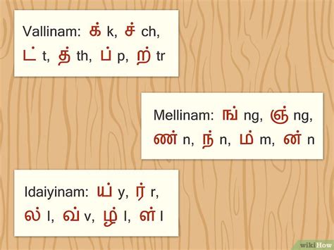 tamil vallinam mellinam idaiyinam|Tamil/Tamil Script